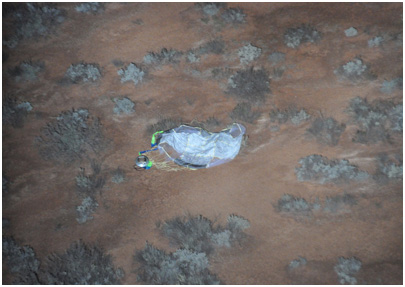 ヘリコプターから発見した「はやぶさ」のカプセル。白いパラシュートの左にカプセルがある。オーストラリアの南部ウーメラ地区にある砂漠の上空から撮影。